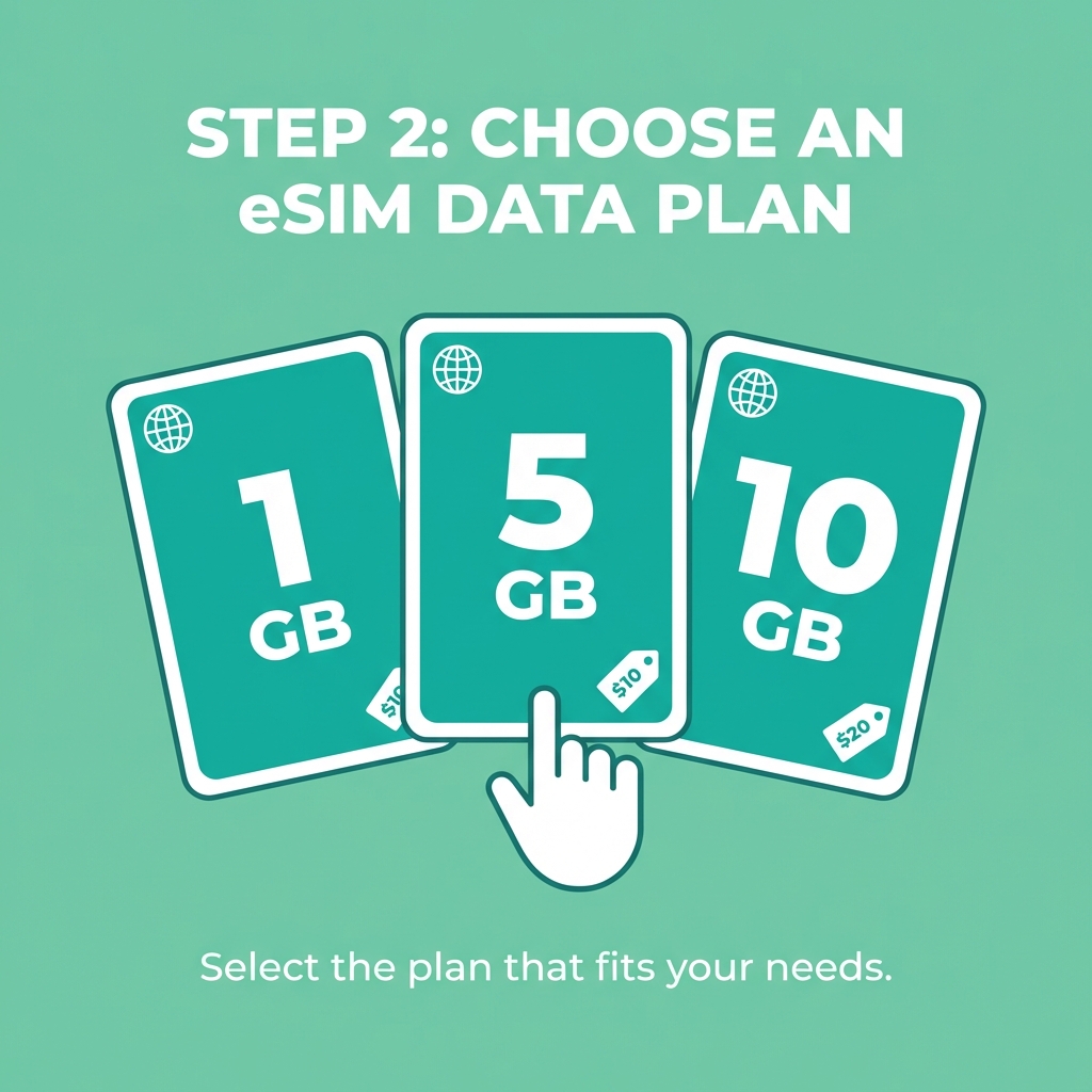 Step 2: Pick a plan